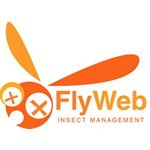 FLY WEB
