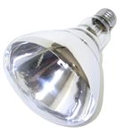 Ampoule claire pour lampe chauffante, 250W