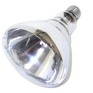 Clear bulb for heat lamp, 250W