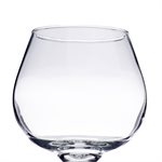 Glass, Brandy 11.5 Oz, "Embassy" (24/cs)