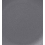 Rimless Dinner Plate 10.5" - Neo Fusion Grey